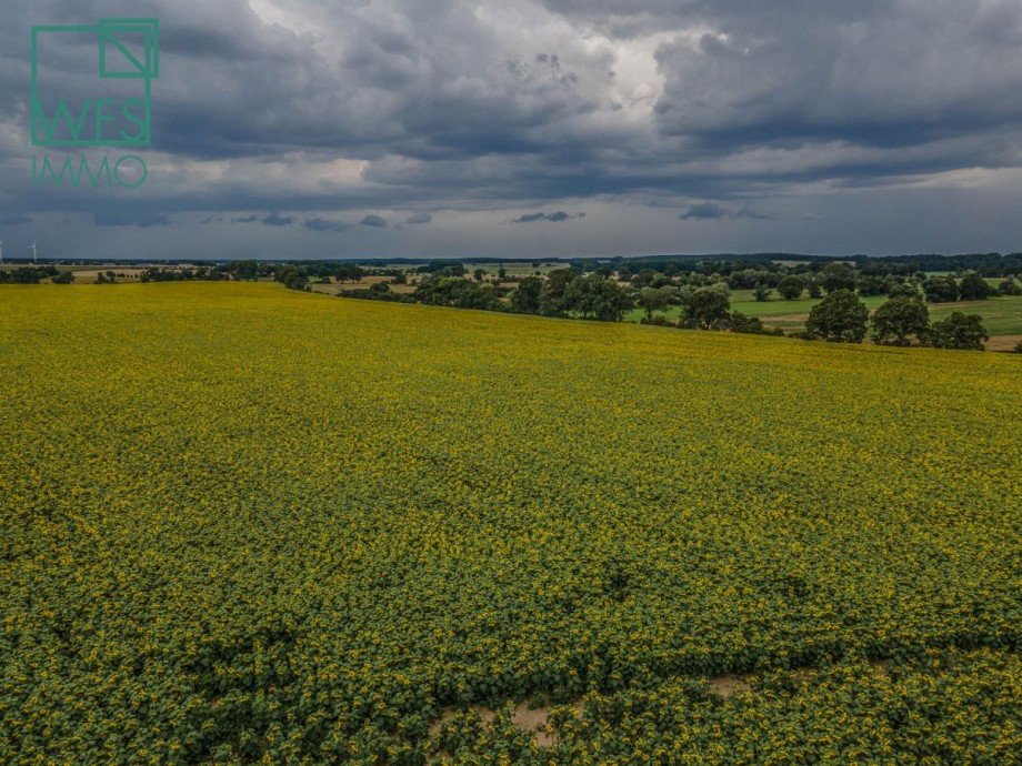 Wir fue Immobilien Einfamilienhaus Breddin bei Neustadt Dosse u. Kyritz Einfamilienhaus Breddin